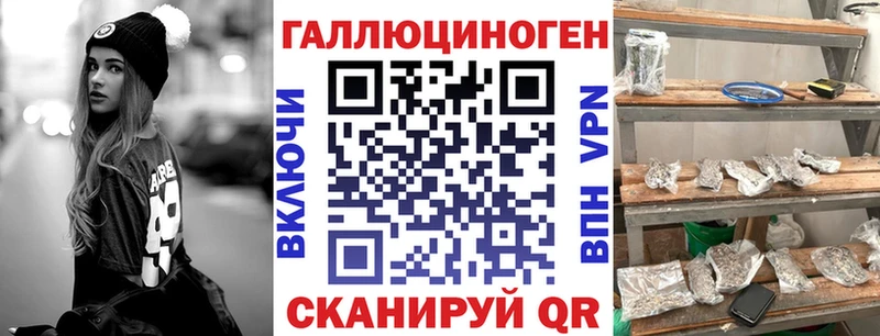 как найти   Ивангород  Псилоцибиновые грибы Magic Shrooms 